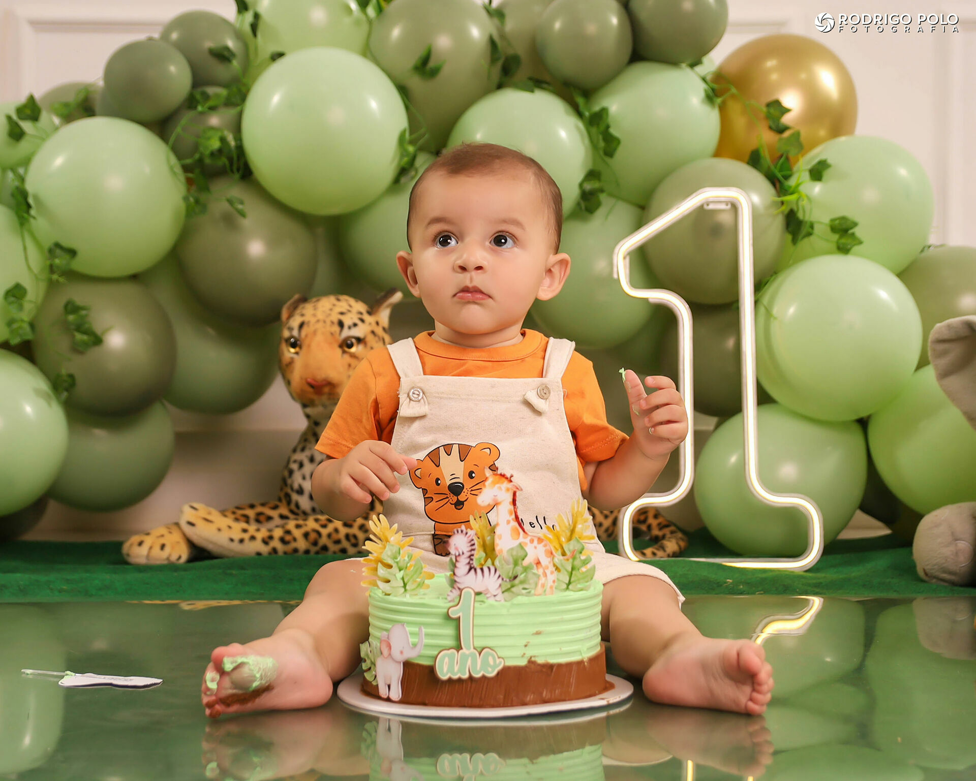 Foto Smash The Cake Bernardo - 1 Aninho Foto Smash The Cake Bernardo - 1 Aninho - Imagem 18