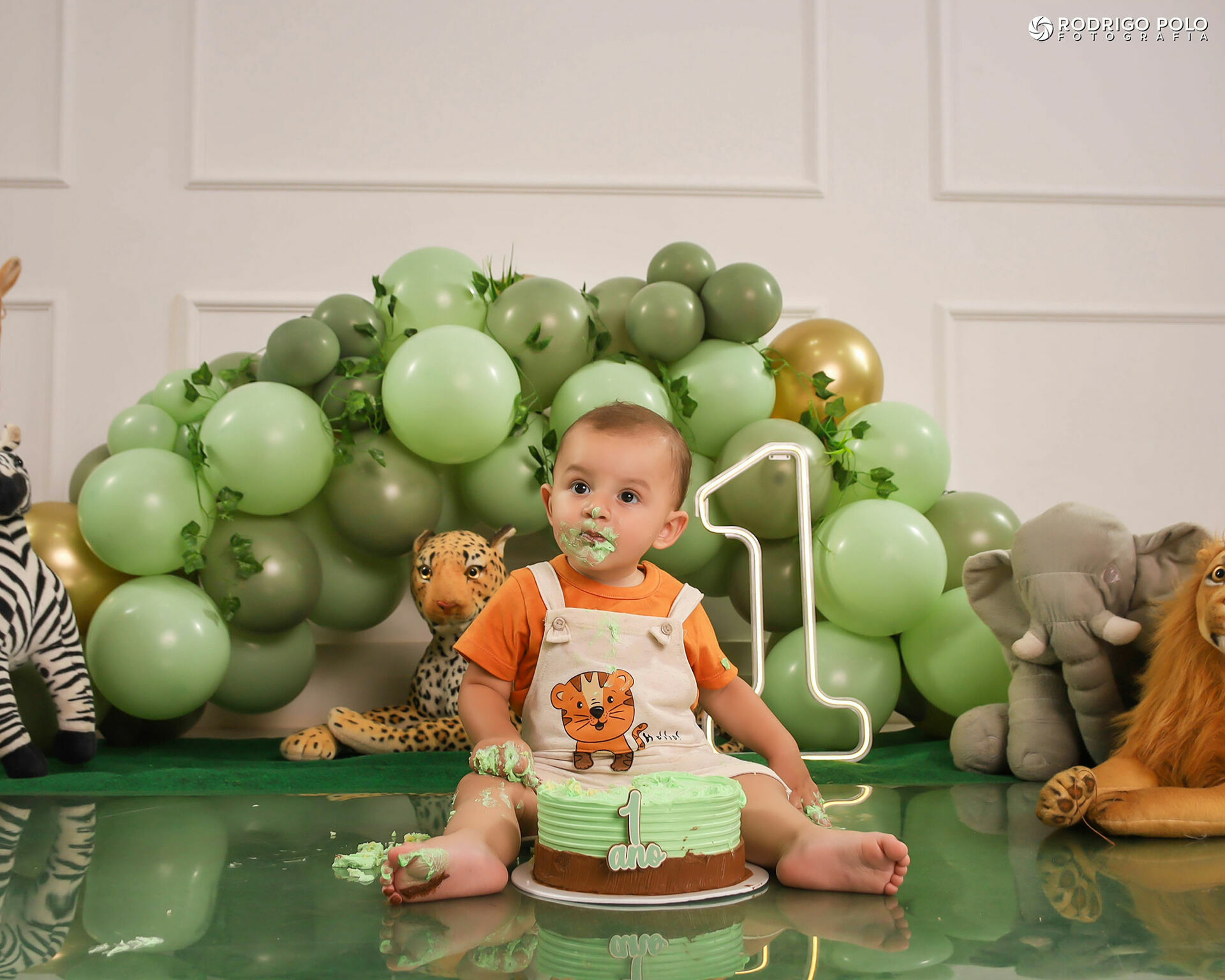 Foto Smash The Cake Bernardo - 1 Aninho Foto Smash The Cake Bernardo - 1 Aninho - Imagem 23