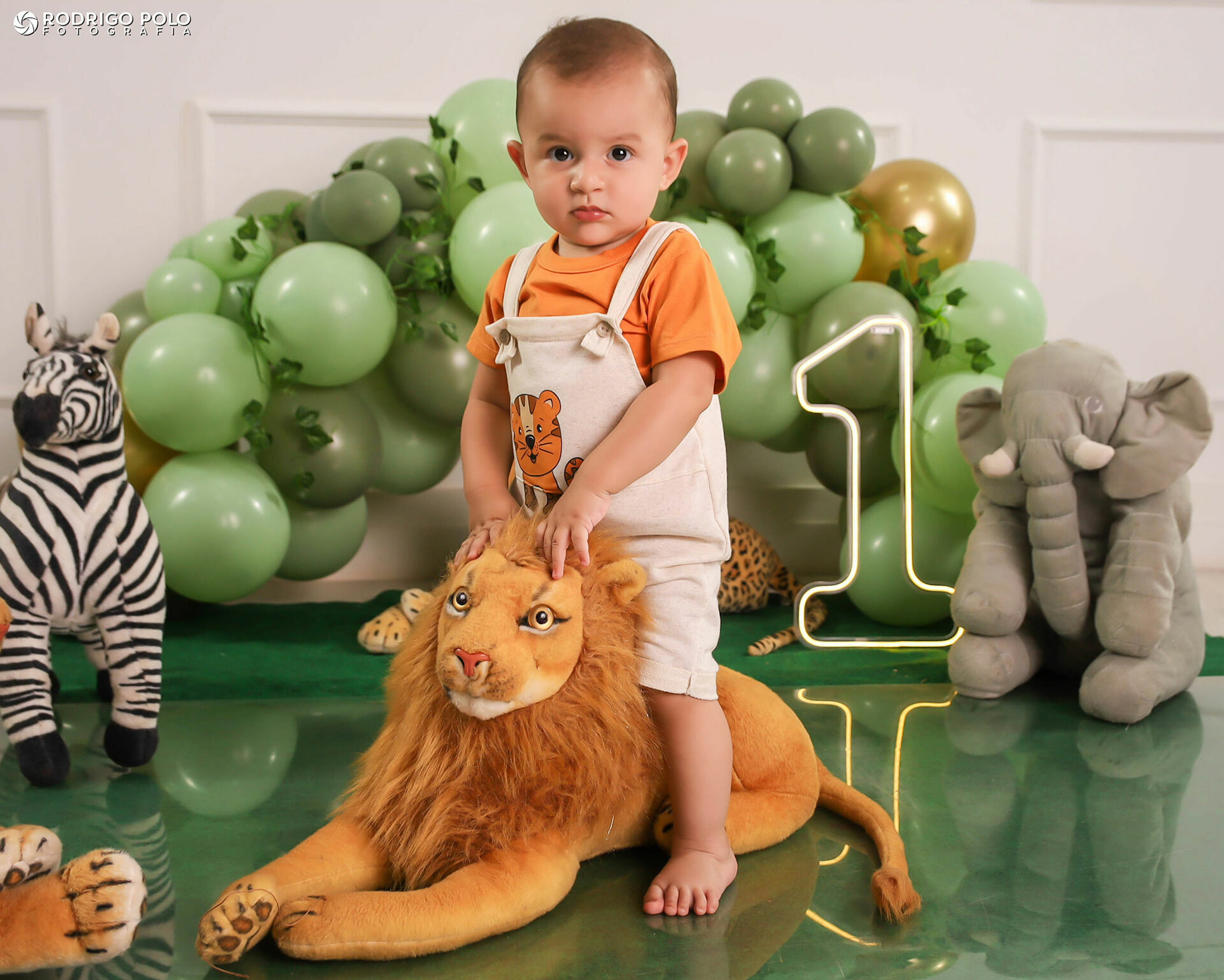 Foto Smash The Cake Bernardo - 1 Aninho Foto Smash The Cake Bernardo - 1 Aninho - Imagem 6