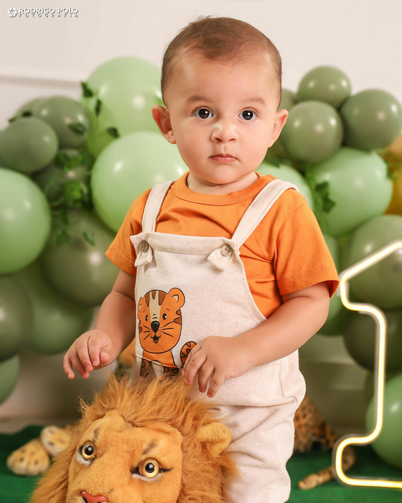 Foto Smash The Cake Bernardo - 1 Aninho Foto Smash The Cake Bernardo - 1 Aninho - Imagem 8