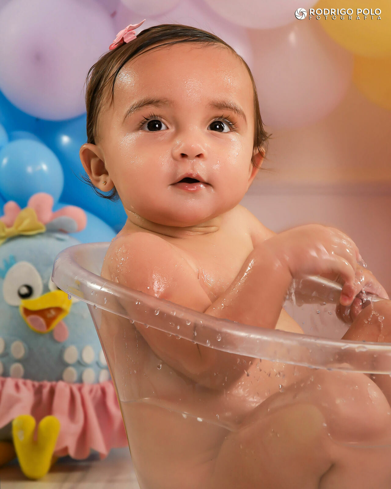 Foto Catarina - 1 Aninho - Imagem 50