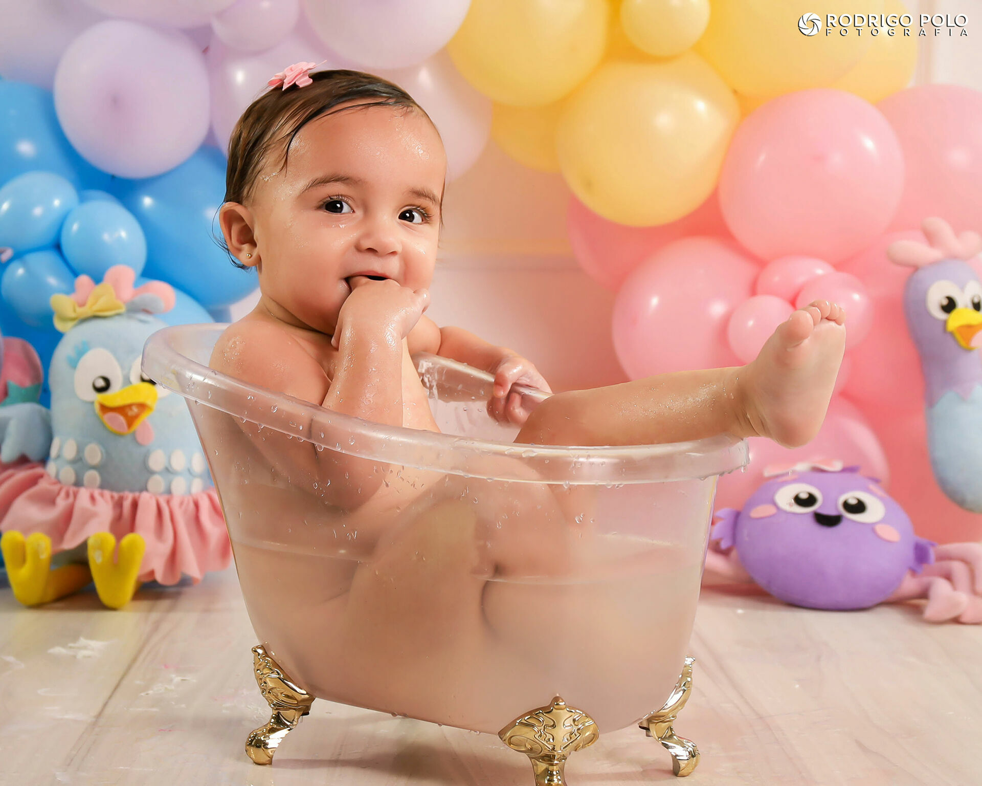 Foto Catarina - 1 Aninho - Imagem 53